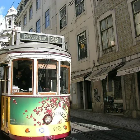 Scent Of Graca Lisboa